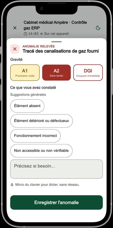 Écran DéclarPro : une anomalie relevée sur un contrôle gaz ERP, gravité A2 choisie parmi A1, A2 et DGI